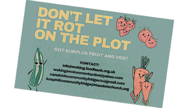 Don't let it rot on the plot - leaflet image