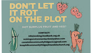 Don't let it rot on the plot